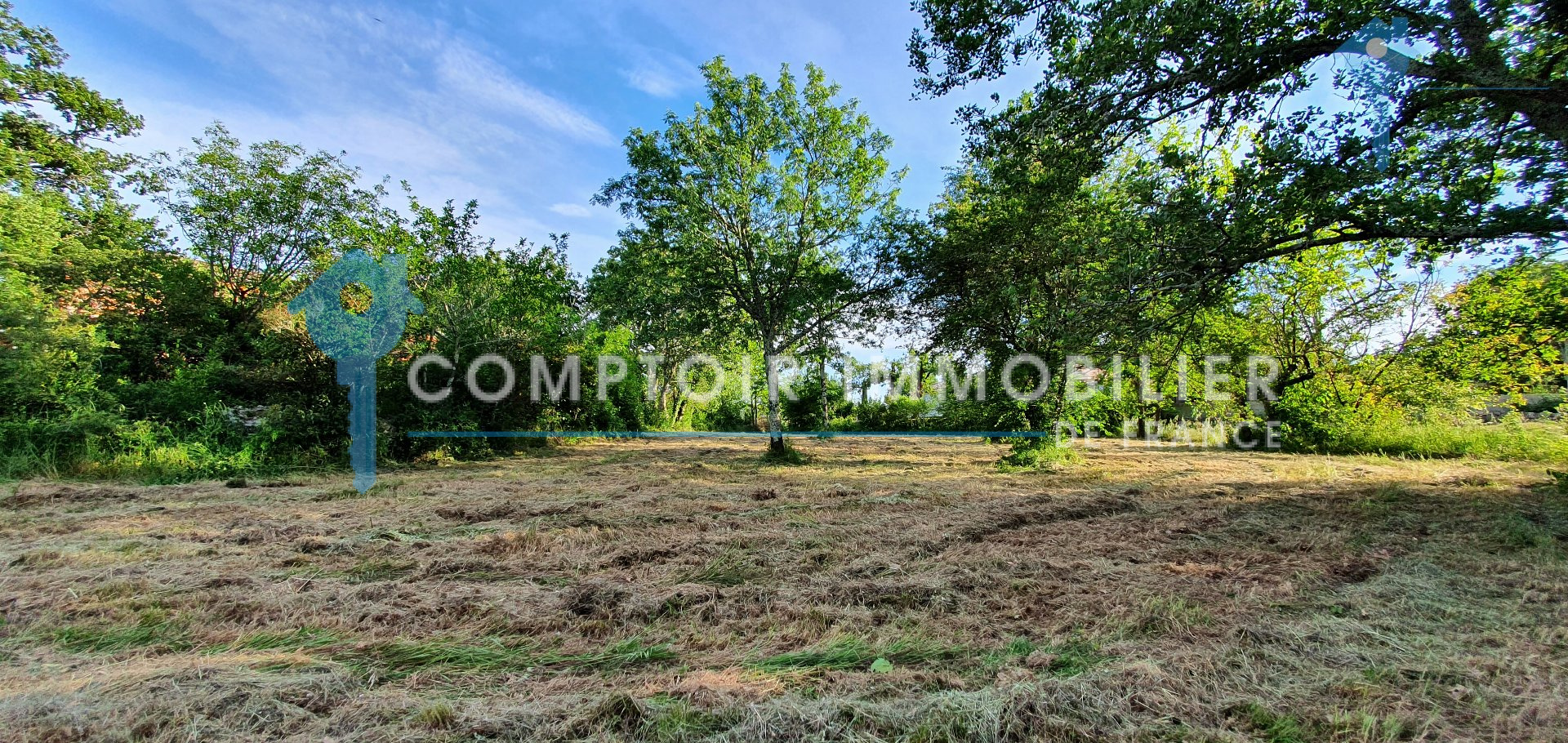 Agence immobilière de Comptoir Immobilier de France