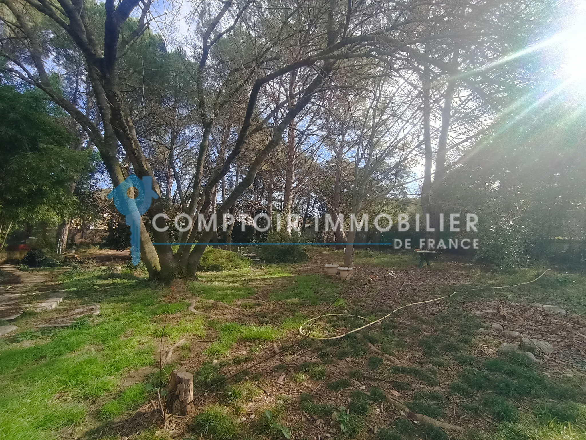 Photo bien immobilier