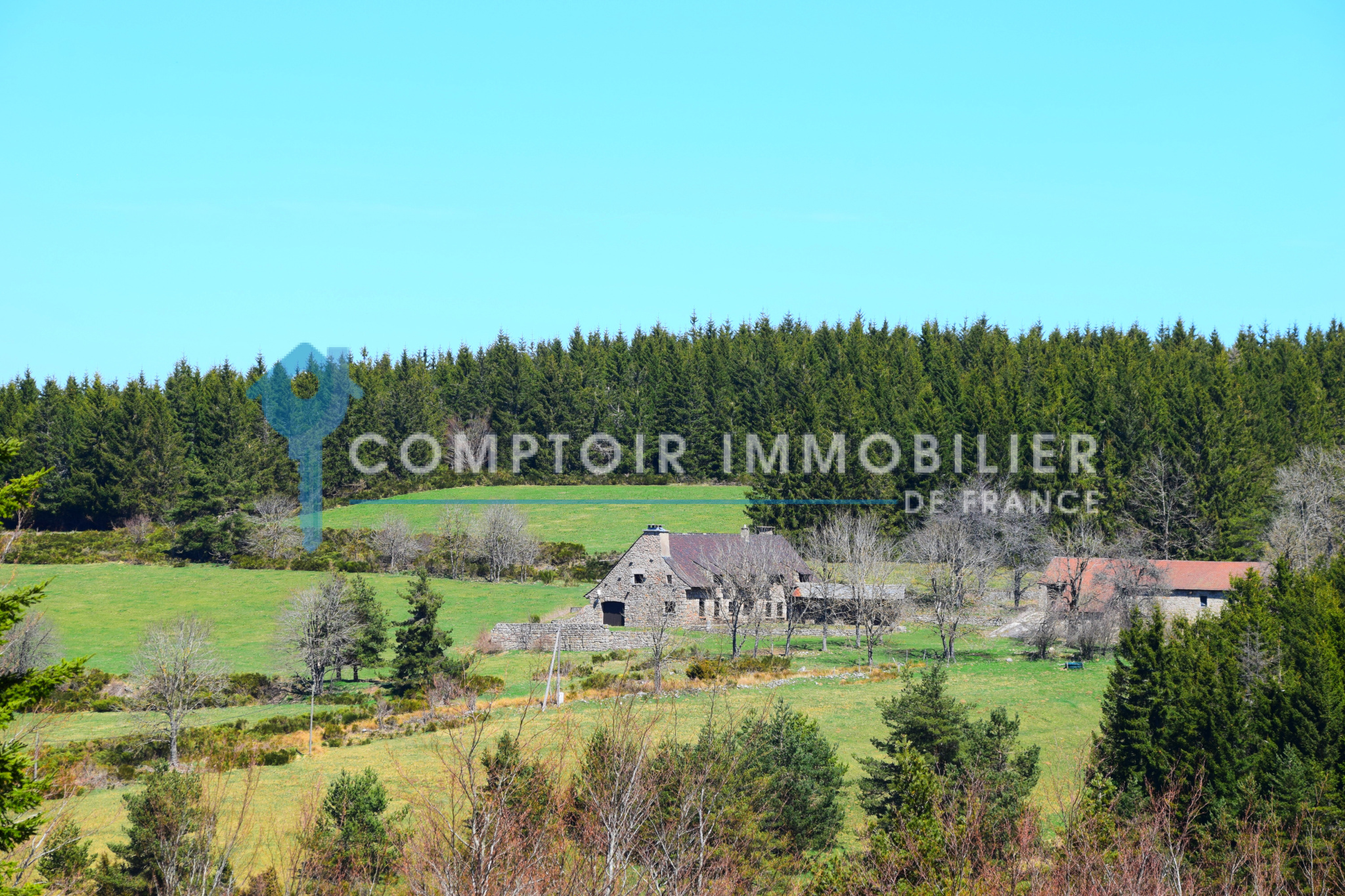 Agence immobilière de Comptoir Immobilier de France